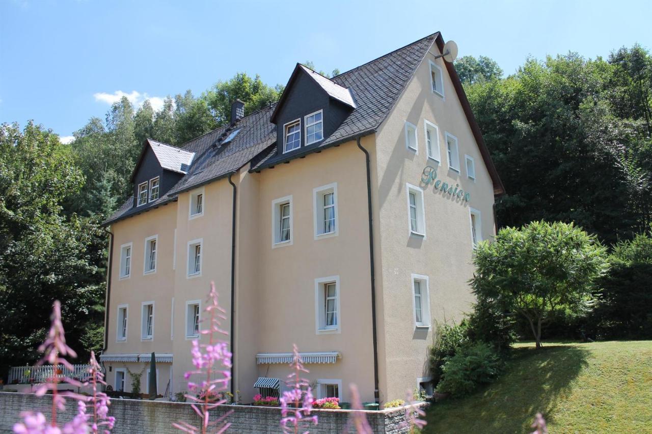 Appartements Im "Landhaus Am Frohnauer Hammer" Annaberg-Buchholz Exteriör bild