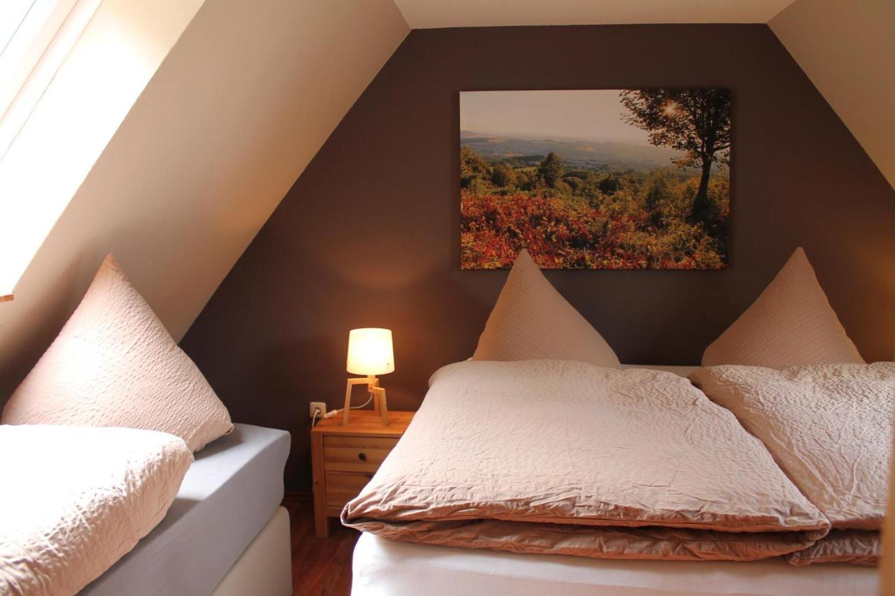 Appartements Im "Landhaus Am Frohnauer Hammer" Annaberg-Buchholz Exteriör bild
