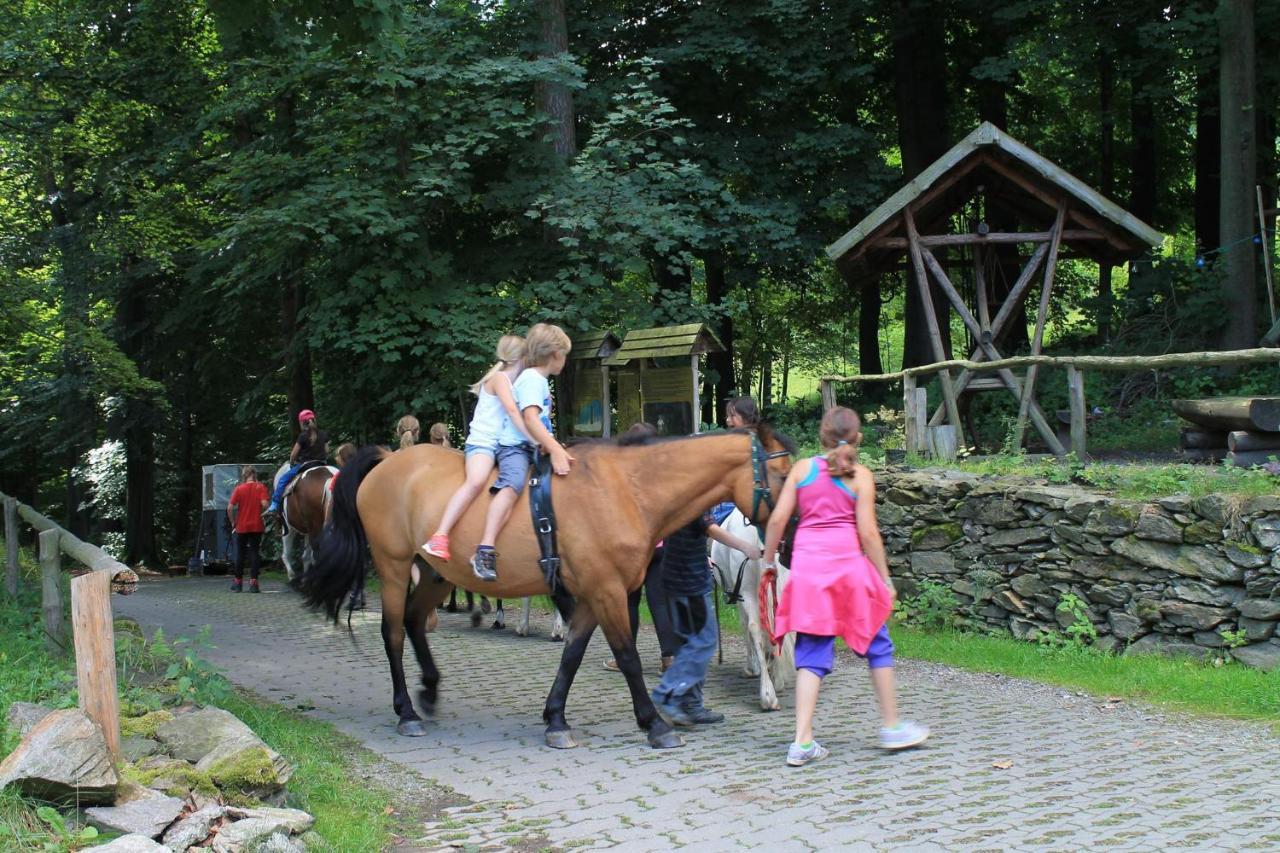 Appartements Im "Landhaus Am Frohnauer Hammer" Annaberg-Buchholz Exteriör bild