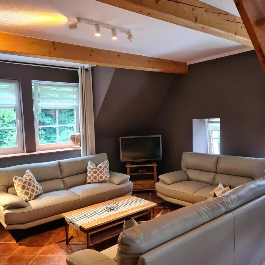 Appartements Im "Landhaus Am Frohnauer Hammer" Annaberg-Buchholz Exteriör bild